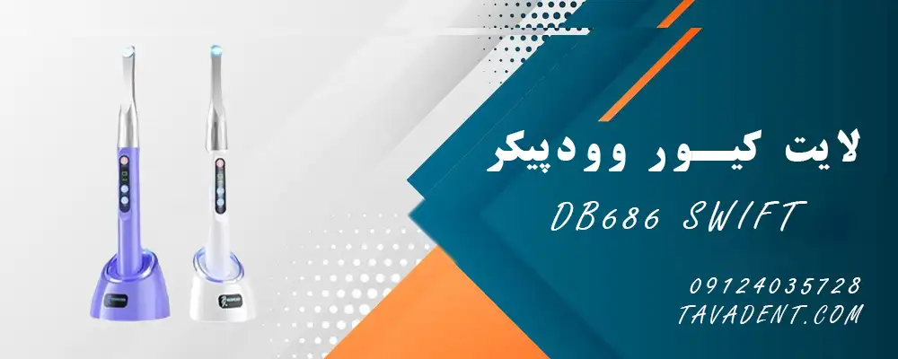 لایت کیور وودپیکر