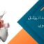 خرید وسایل دندانپزشکی دانشجویی